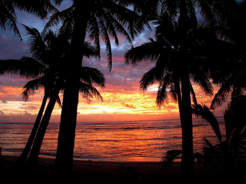 Sunhaven Beach Bungalows (Adults Only) Rarotonga Exterior photo